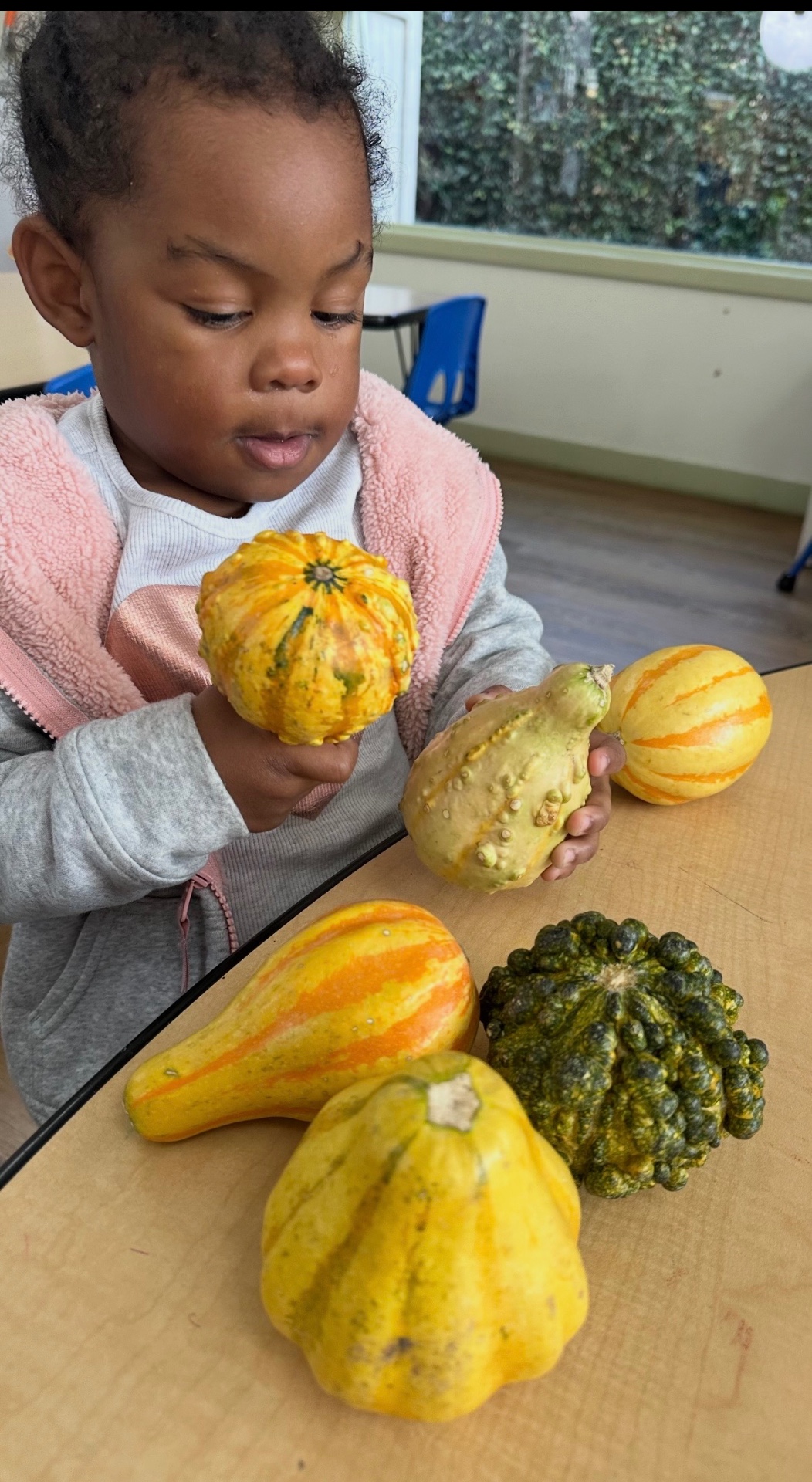 Child studying a collection of colorful gourds at the classroom table