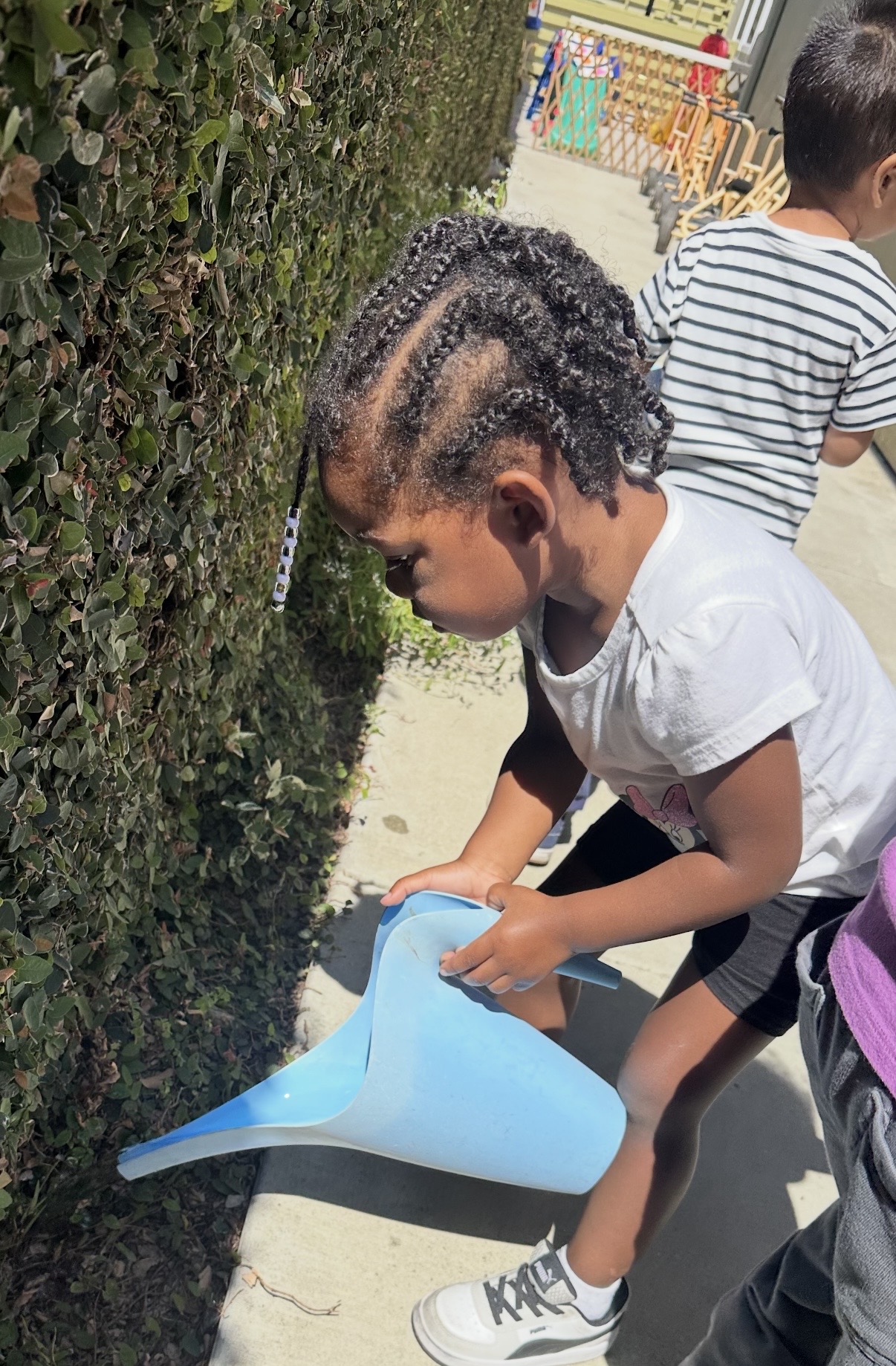 Child watering the garden hedge with a blue watering can